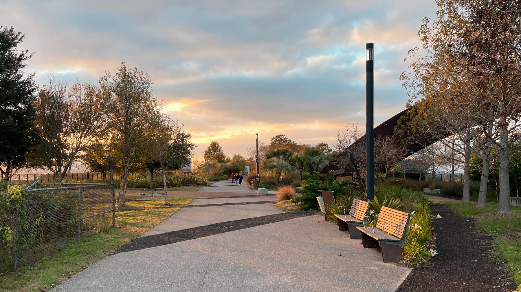 An early evening view down a golden sunlit park path